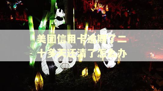 美团信用卡逾期了二十多天还清了怎么办