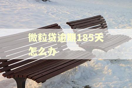 微粒贷逾期185天怎么办