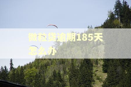 微粒贷逾期185天怎么办