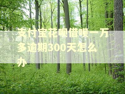 支付宝花呗借呗一万多逾期300天怎么办