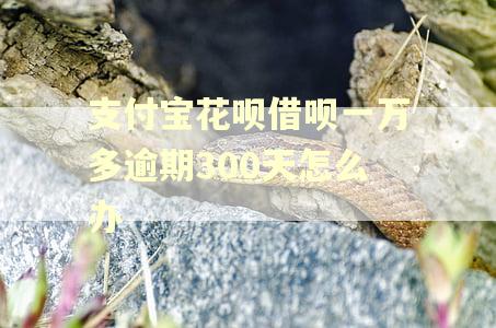 支付宝花呗借呗一万多逾期300天怎么办