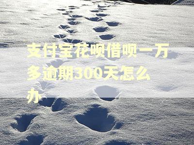支付宝花呗借呗一万多逾期300天怎么办