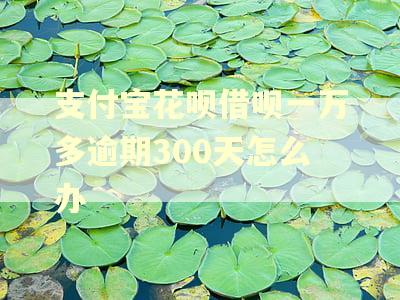 支付宝花呗借呗一万多逾期300天怎么办
