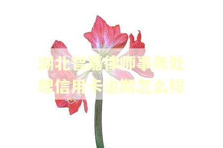 湖北智嘉律师事务处理信用卡逾期怎么样