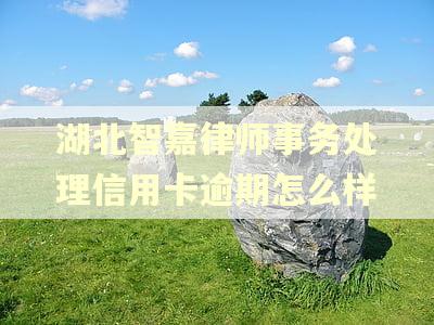 湖北智嘉律师事务处理信用卡逾期怎么样