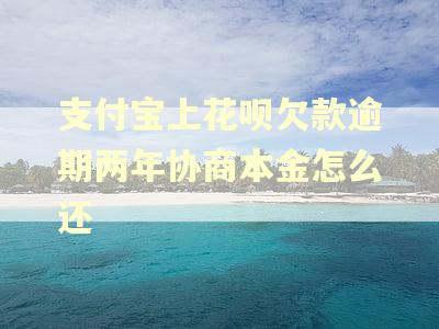 支付宝上花呗欠款逾期两年协商本金怎么还