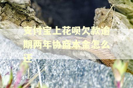 支付宝上花呗欠款逾期两年协商本金怎么还 支付宝上花呗欠款逾期两年协商本金怎么还