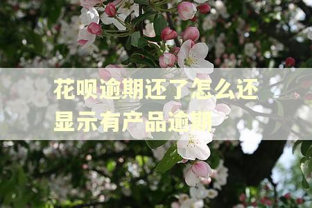 花呗逾期还了怎么还显示有产品逾期 花呗逾期还了怎么还显示有产品逾期
