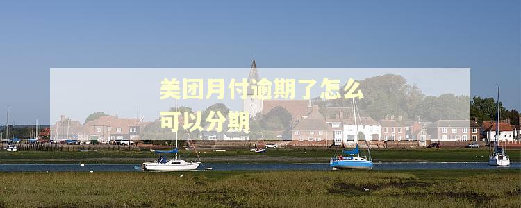 美团月付逾期了怎么可以分期 美团月付逾期了怎么可以分期