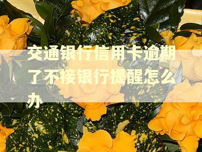 交通银行信用卡逾期了不接银行提醒怎么办 交通银行信用卡逾期了不接银行提醒怎么办
