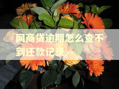 网商贷逾期怎么查不到还款记录