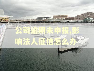 公司逾期未申报,影响法人征信怎么办