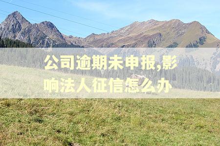 公司逾期未申报,影响法人征信怎么办