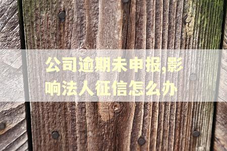 公司逾期未申报,影响法人征信怎么办