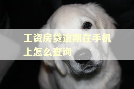 工资房贷逾期在手机上怎么查询 工资房贷逾期在手机上怎么查询