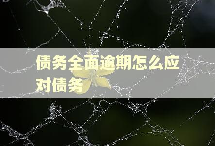 债务全面逾期怎么应对债务