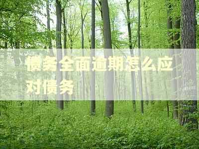 债务全面逾期怎么应对债务