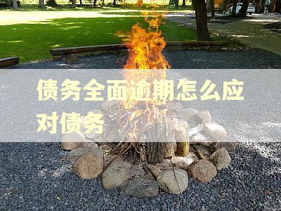 债务全面逾期怎么应对债务