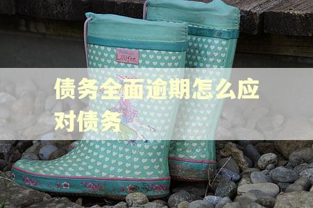 债务全面逾期怎么应对债务