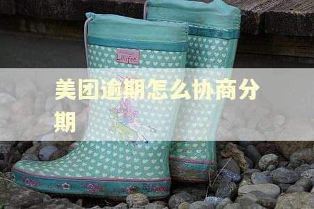 美团逾期怎么协商分期