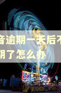 抖音逾期一天后不给分期了怎么办