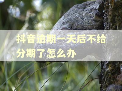 抖音逾期一天后不给分期了怎么办