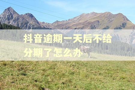 抖音逾期一天后不给分期了怎么办