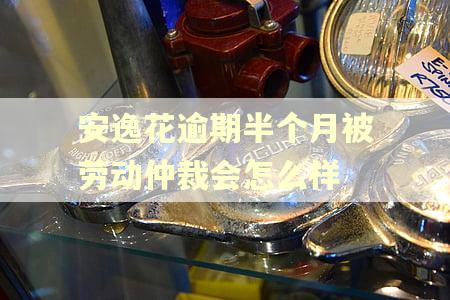安逸花逾期半个月被劳动仲裁会怎么样