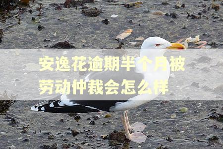 安逸花逾期半个月被劳动仲裁会怎么样