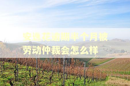 安逸花逾期半个月被劳动仲裁会怎么样