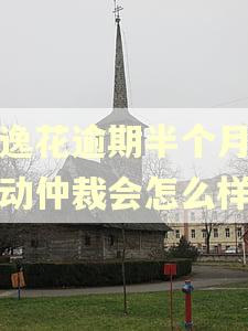 安逸花逾期半个月被劳动仲裁会怎么样 安逸花逾期半个月被劳动仲裁会怎么样