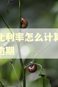 年化利率怎么计算公式逾期