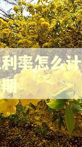 年化利率怎么计算公式逾期