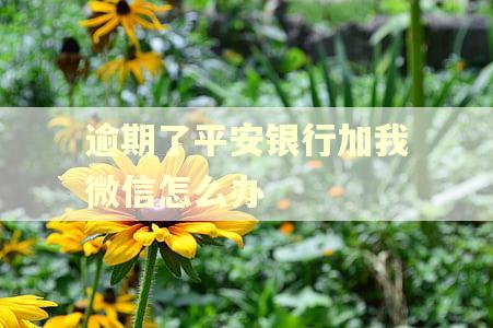 逾期了平安银行加我微信怎么办 逾期了平安银行加我微信怎么办