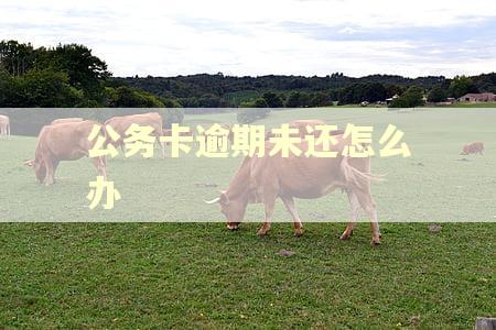 公务卡逾期未还怎么办