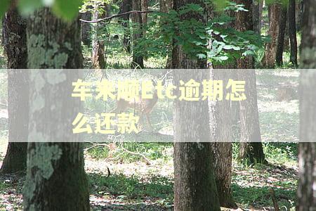 车来顺Etc逾期怎么还款