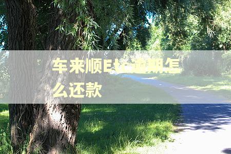 车来顺Etc逾期怎么还款 车来顺Etc逾期怎么还款