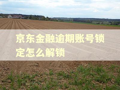 京东金融逾期账号锁定怎么解锁