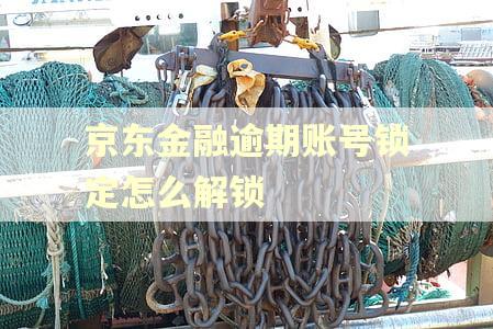 京东金融逾期账号锁定怎么解锁