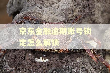 京东金融逾期账号锁定怎么解锁