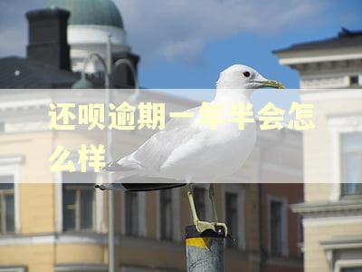 还呗逾期一年半会怎么样