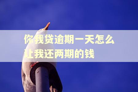 你我贷逾期一天怎么让我还两期的钱