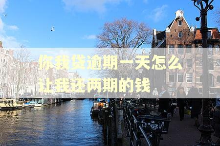 你我贷逾期一天怎么让我还两期的钱