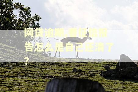 网贷逾期,看征信报告怎么是自己还清了?