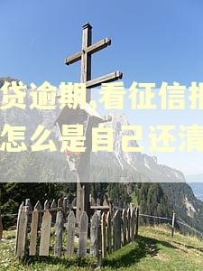 网贷逾期,看征信报告怎么是自己还清了?