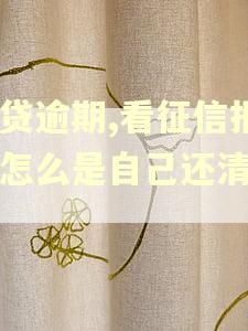 网贷逾期,看征信报告怎么是自己还清了?