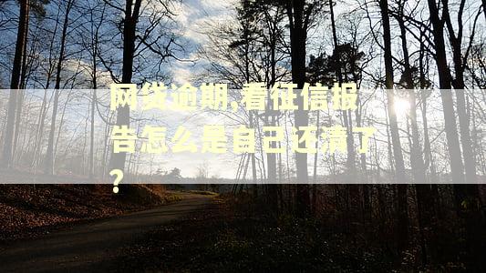 网贷逾期,看征信报告怎么是自己还清了?