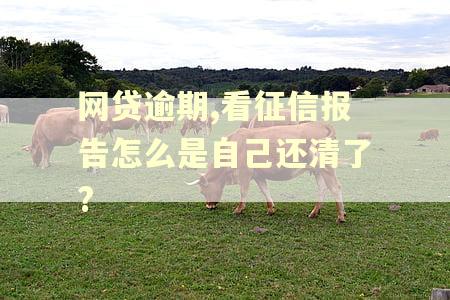 网贷逾期,看征信报告怎么是自己还清了? 网贷逾期,看征信报告怎么是自己还清了?