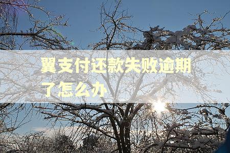 翼支付还款失败逾期了怎么办