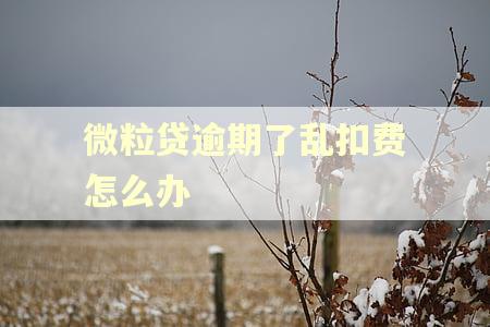 微粒贷逾期了乱扣费怎么办 微粒贷逾期了乱扣费怎么办